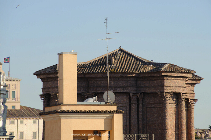 The dome of the Church Sant'Andrea delle Fratte and its seagulls